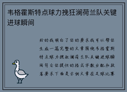 韦格霍斯特点球力挽狂澜荷兰队关键进球瞬间